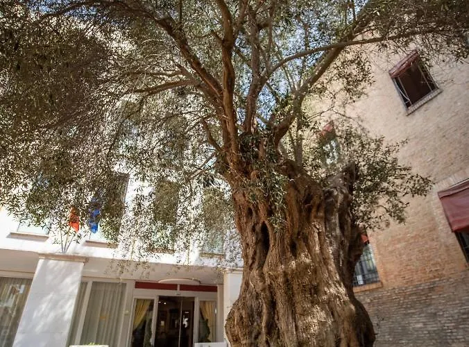 Ego' & Center Феррара